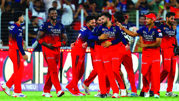 RCB IPL 25 Champion