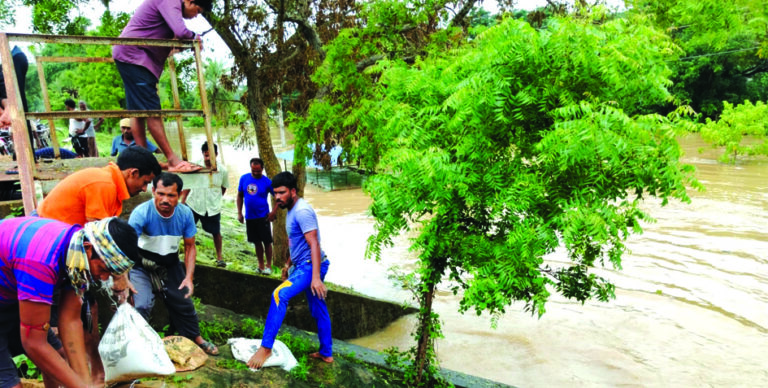 Flood control preparation