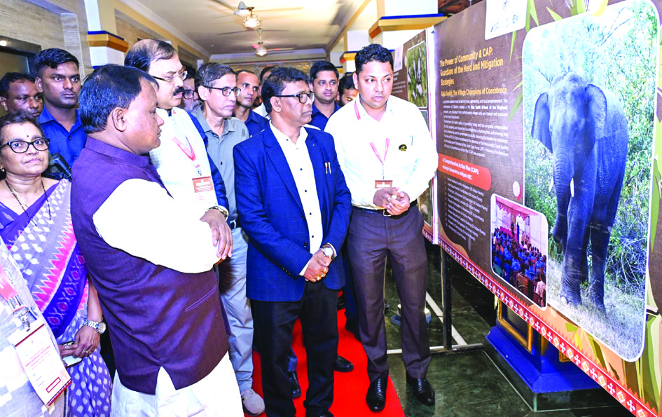 Human-Elephant co existence workshop