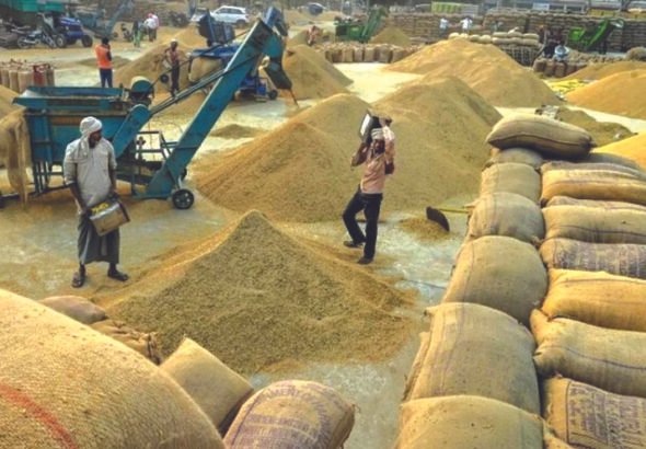 Paddy procurement