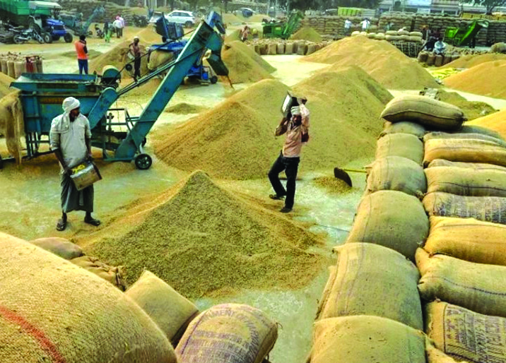 Paddy procurement