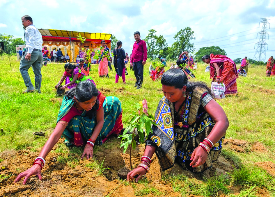 Panchayatiraj plantation