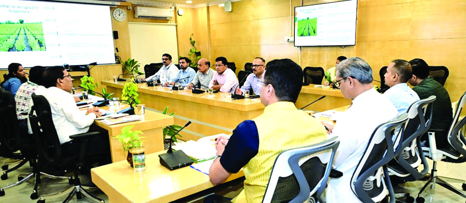 Potato cultivation review