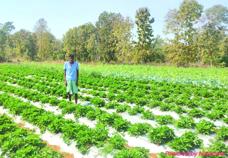 Odisha Lift irrigation Corp