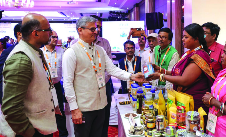 National Workshop on JICA forestry