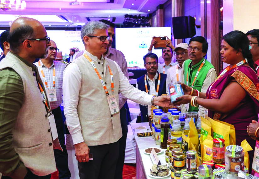 National Workshop on JICA forestry