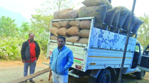 Paddy collection in Ganjam district