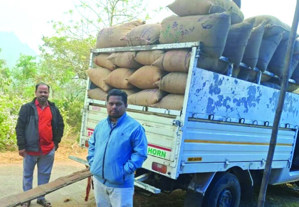 Paddy collection in Ganjam district