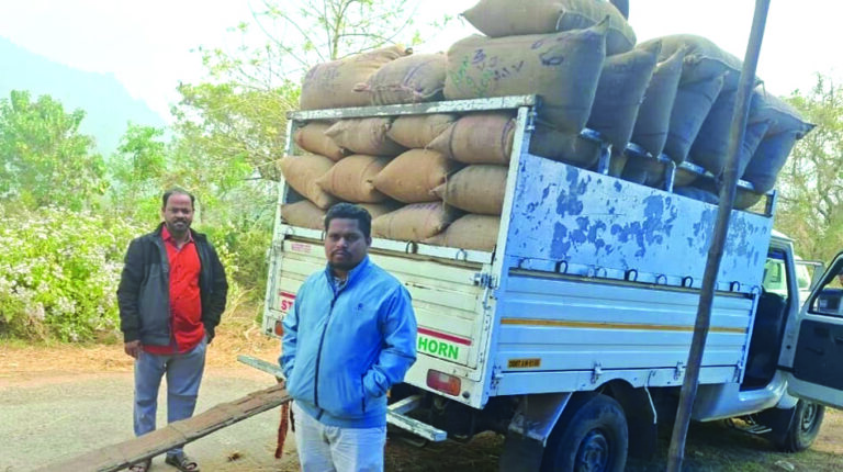 Paddy collection in Ganjam district