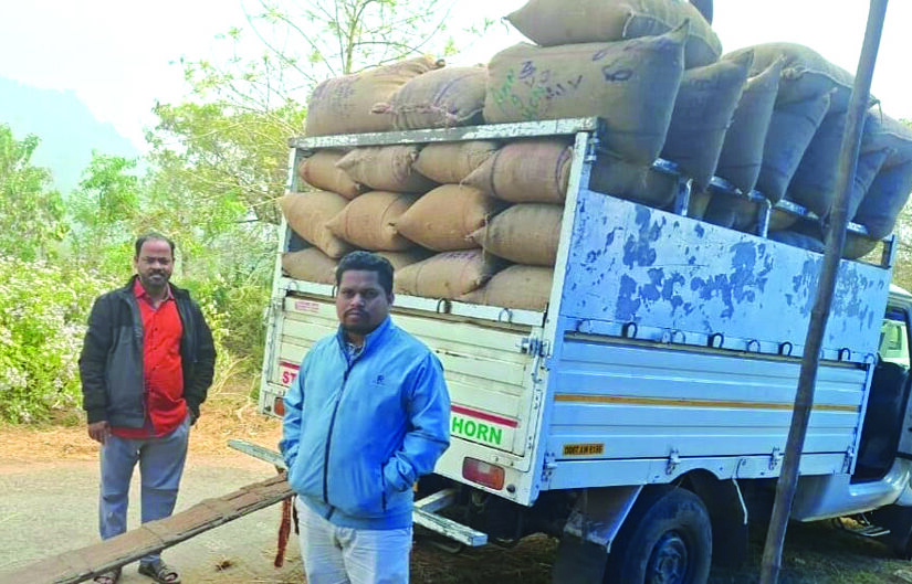 Paddy collection in Ganjam district