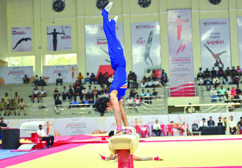 Junior and Senior Artistic Gymnastics