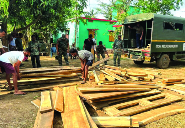 Forest Department raid