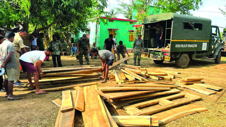 Forest Department raid