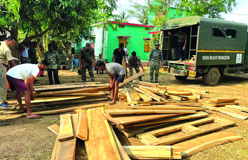 Forest Department raid