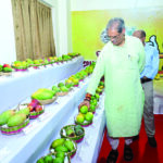 Mango Festival