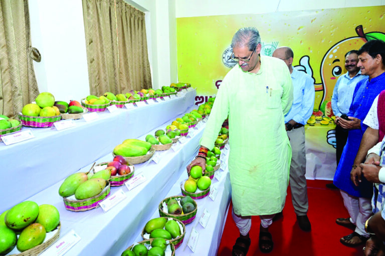 Mango Festival