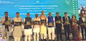 CII Energy conference at New Delhi