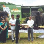 World Elephant Day observed
