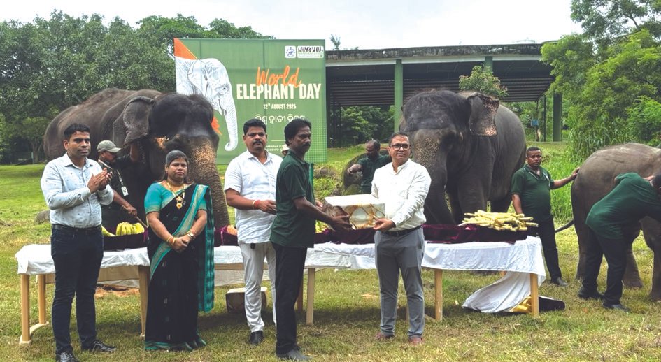 World Elephant Day observed