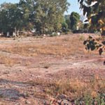Unutilised govt land