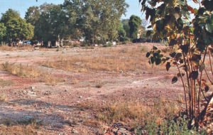Unutilised govt land